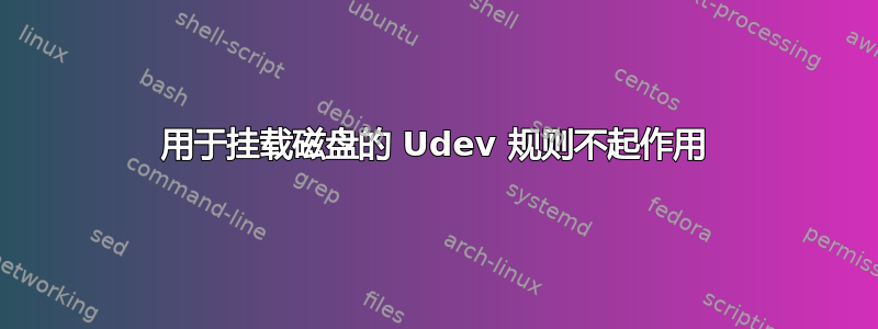 用于挂载磁盘的 Udev 规则不起作用