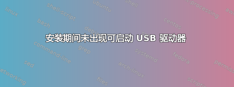 安装期间未出现可启动 USB 驱动器