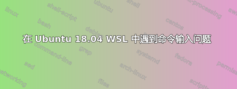 在 Ubuntu 18.04 WSL 中遇到命令输入问题