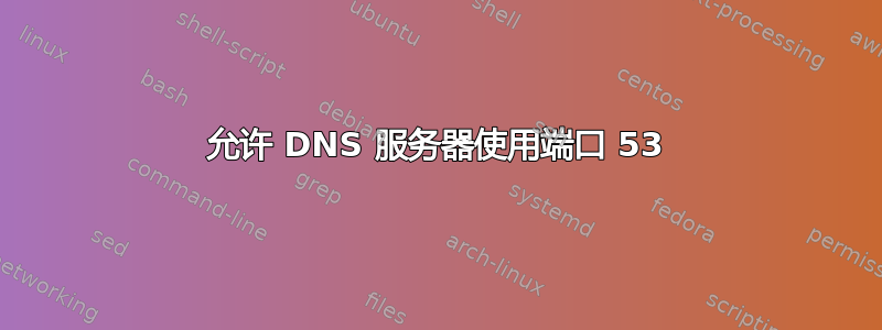 允许 DNS 服务器使用端口 53