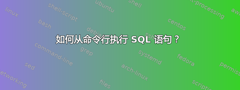 如何从命令行执行 SQL 语句？