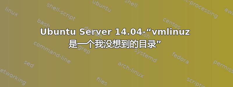 Ubuntu Server 14.04-“vmlinuz 是一个我没想到的目录”