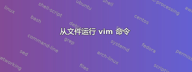 从文件运行 vim 命令