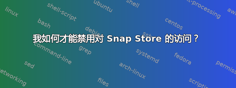 我如何才能禁用对 Snap Store 的访问？