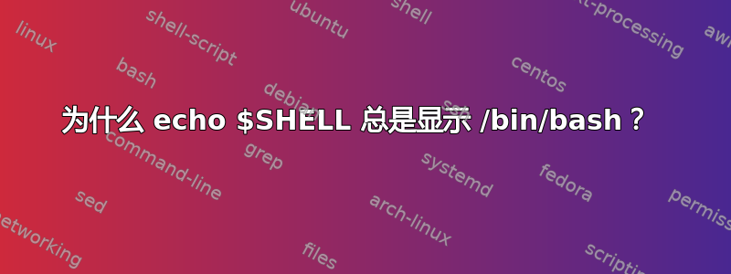 为什么 echo $SHELL 总是显示 /bin/bash？ 