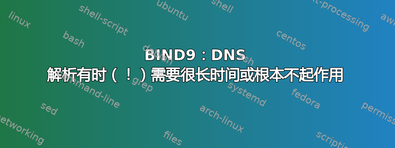 BIND9：DNS 解析有时（！）需要很长时间或根本不起作用