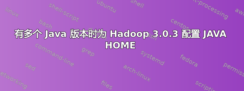 有多个 Java 版本时为 Hadoop 3.0.3 配置 JAVA HOME