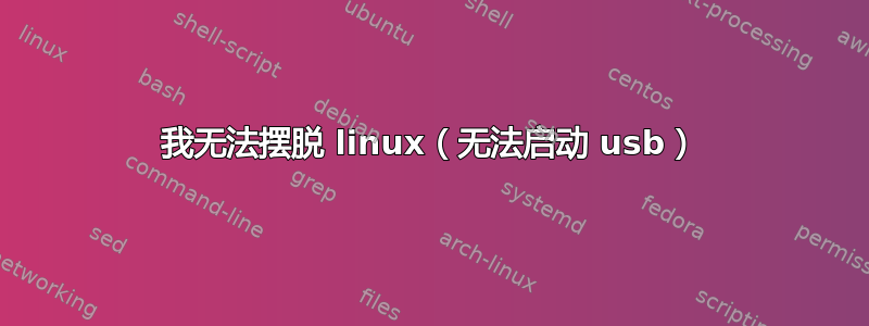 我无法摆脱 linux（无法启动 usb）