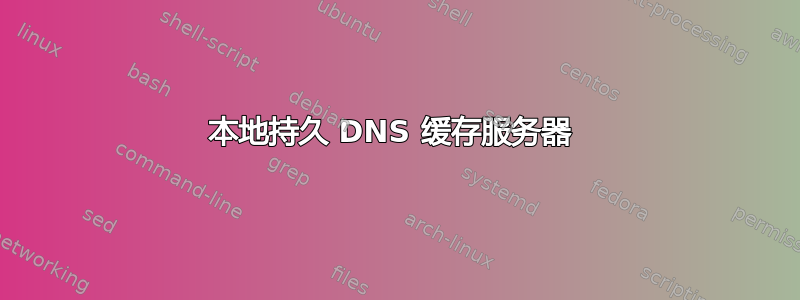 本地持久 DNS 缓存服务器 