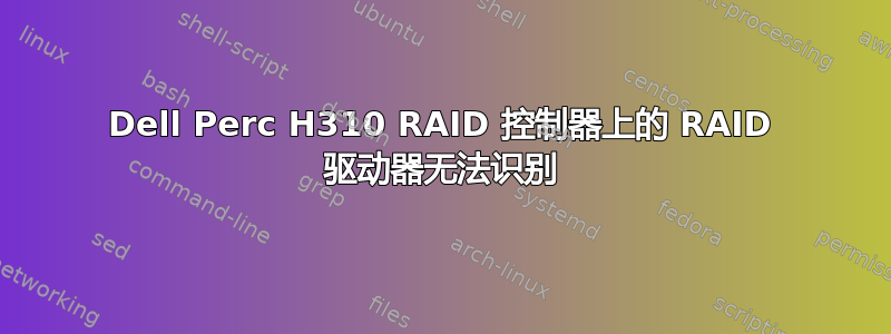 Dell Perc H310 RAID 控制器上的 RAID 驱动器无法识别