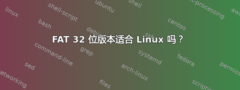 FAT 32 位版本适合 Linux 吗？