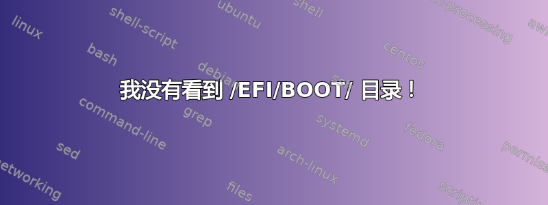 我没有看到 /EFI/BOOT/ 目录！