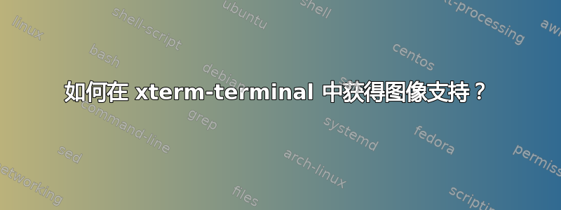 如何在 xterm-terminal 中获得图像支持？