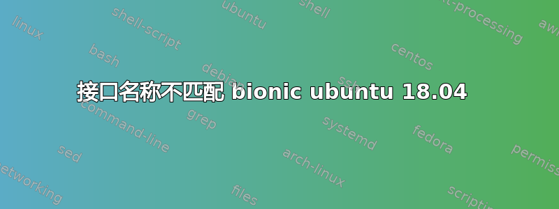 接口名称不匹配 bionic ubuntu 18.04 