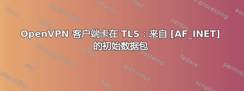 OpenVPN 客户端卡在 TLS：来自 [AF_INET] 的初始数据包