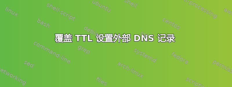 覆盖 TTL 设置外部 DNS 记录