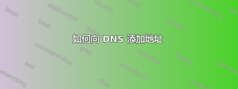 如何向 DNS 添加地址