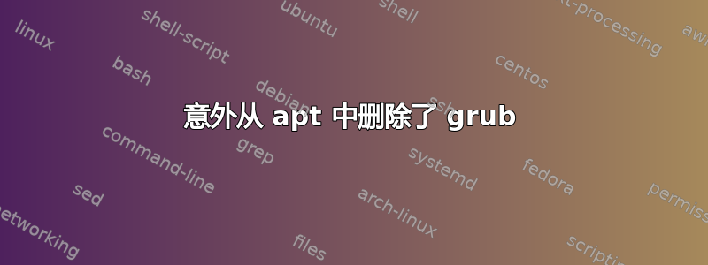 意外从 apt 中删除了 grub