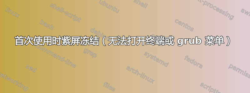 首次使用时紫屏冻结（无法打开终端或 grub 菜单）