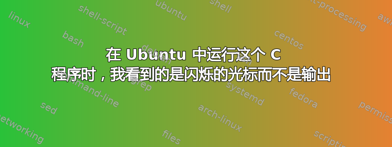 在 Ubuntu 中运行这个 C 程序时，我看到的是闪烁的光标而不是输出 