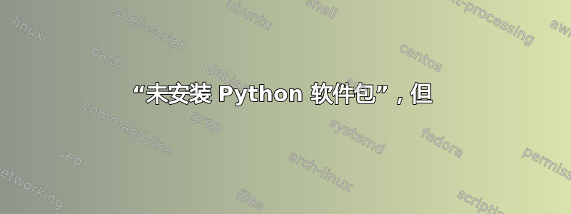 “未安装 Python 软件包”，但