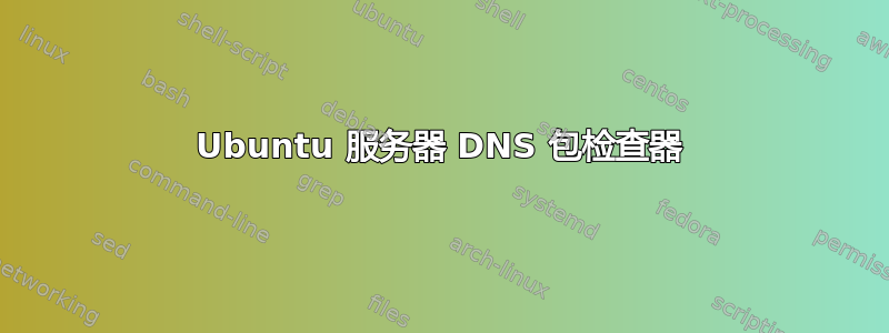 Ubuntu 服务器 DNS 包检查器