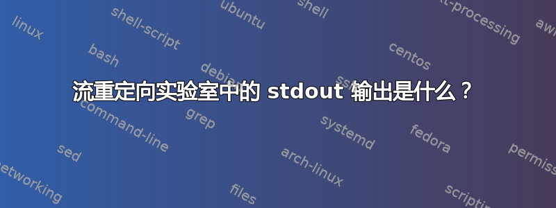 流重定向实验室中的 stdout 输出是什么？