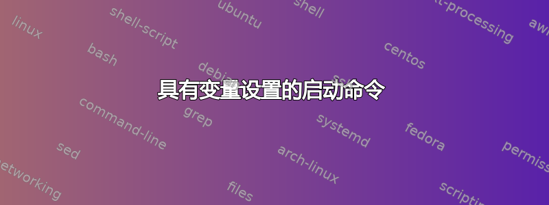 具有变量设置的启动命令