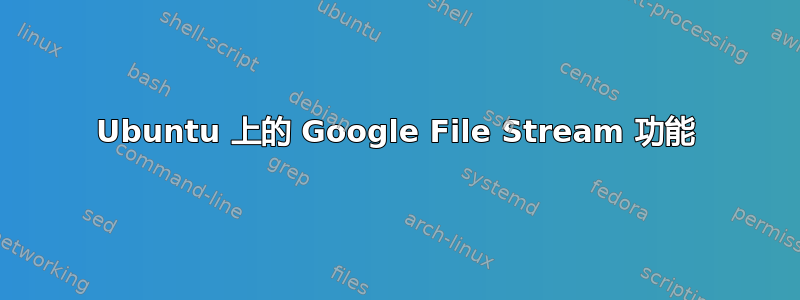 Ubuntu 上的 Google File Stream 功能