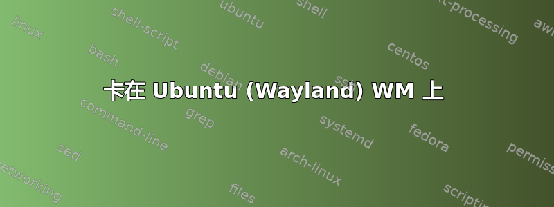 卡在 Ubuntu (Wayland) WM 上