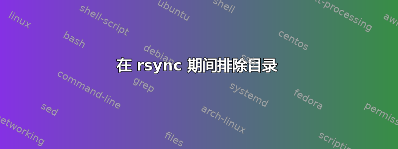 在 rsync 期间排除目录