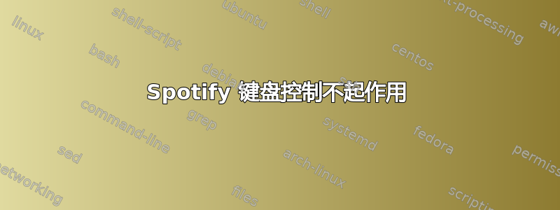 Spotify 键盘控制不起作用