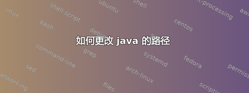 如何更改 java 的路径