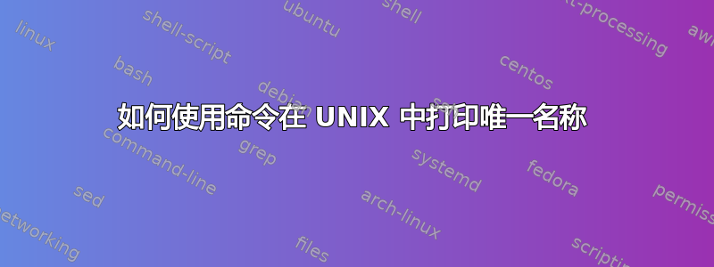 如何使用命令在 UNIX 中打印唯一名称