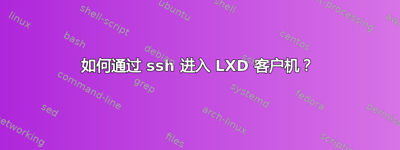 如何通过 ssh 进入 LXD 客户机？