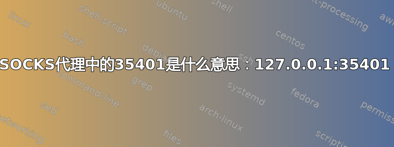 SOCKS代理中的35401是什么意思：127.0.0.1:35401