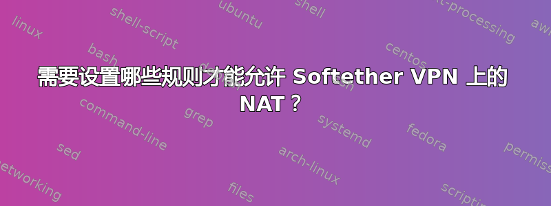 需要设置哪些规则才能允许 Softether VPN 上的 NAT？