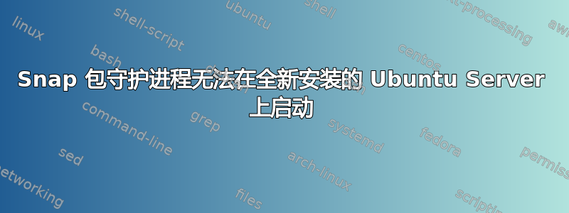 Snap 包守护进程无法在全新安装的 Ubuntu Server 上启动