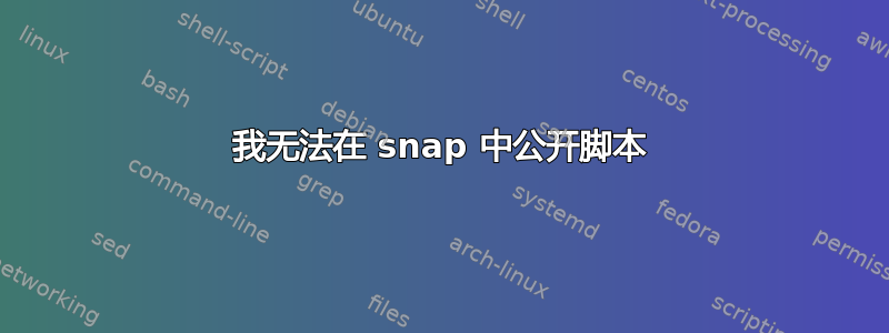 我无法在 snap 中公开脚本