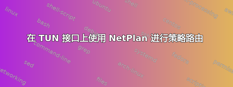 在 TUN 接口上使用 NetPlan 进行策略路由