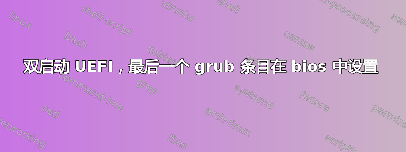 双启动 UEFI，最后一个 grub 条目在 bios 中设置