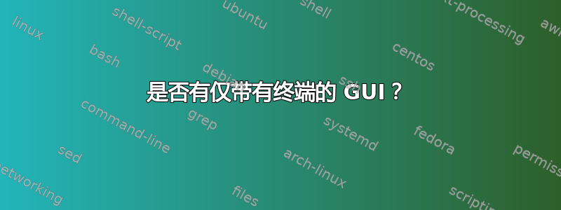 是否有仅带有终端的 GUI？