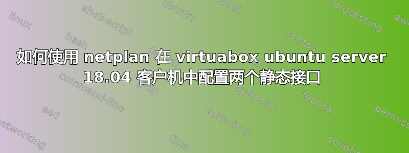 如何使用 netplan 在 vi​​rtuabox ubuntu server 18.04 客户机中配置两个静态接口