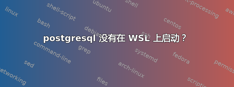 postgresql 没有在 WSL 上启动？