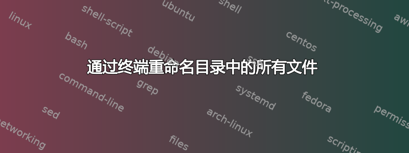 通过终端重命名目录中的所有文件