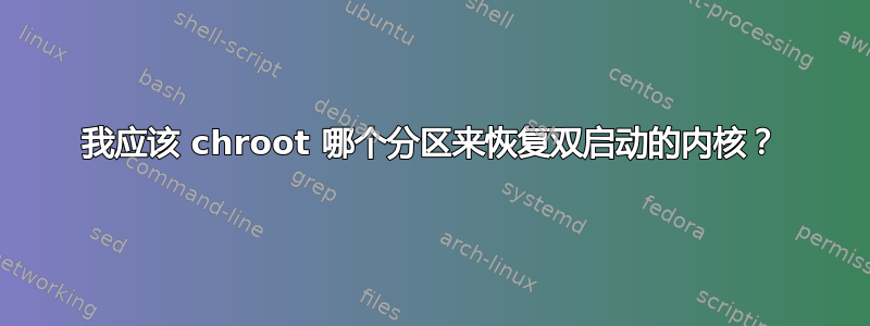 我应该 chroot 哪个分区来恢复双启动的内核？