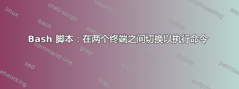 Bash 脚本：在两个终端之间切换以执行命令