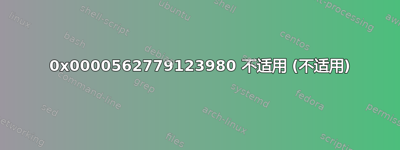 0 0x0000562779123980 不适用 (不适用)