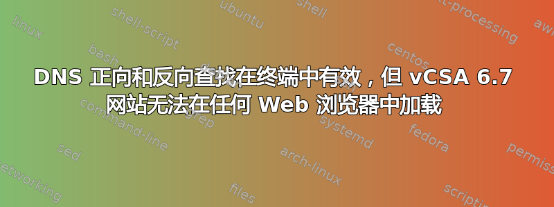 DNS 正向和反向查找在终端中有效，但 vCSA 6.7 网站无法在任何 Web 浏览器中加载