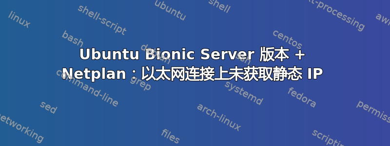 Ubuntu Bionic Server 版本 + Netplan：以太网连接上未获取静态 IP